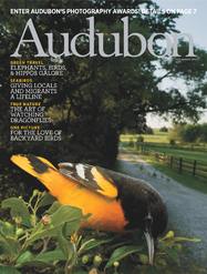 Audubon Magazine